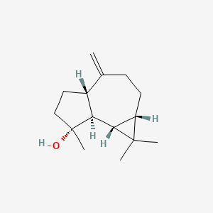 Could Not Find 2D Structure
