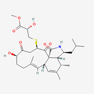 Could Not Find 2D Structure